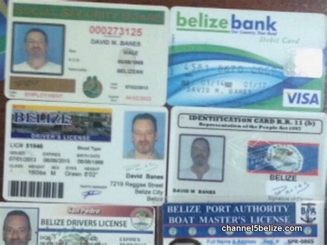Senator seeks inquiry into reported passport fixers operating .
